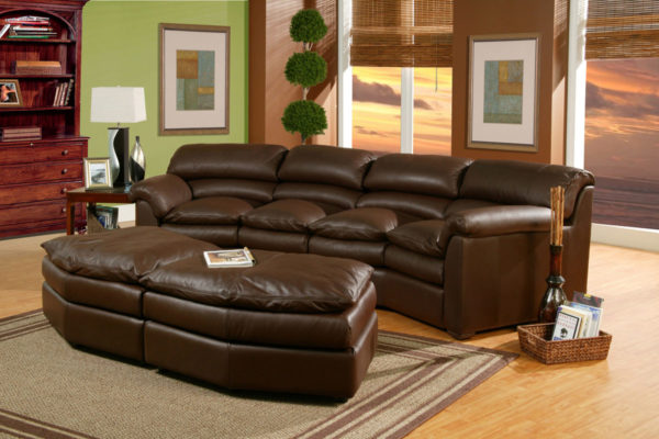 Canyon Leather Sofa Dark Room