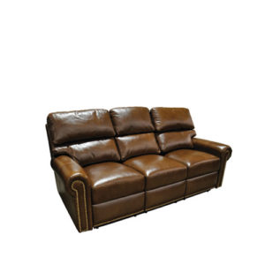 Carlton Leather Sleeper