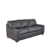 Dream Maker Leather Sleeper