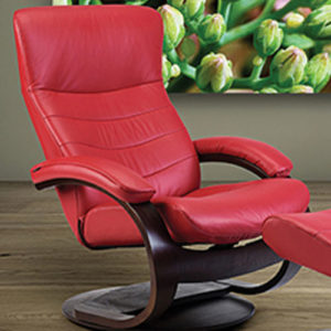 Trandal Recliner Room